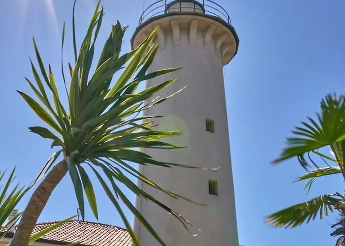 Apartment Homely With Private Garden